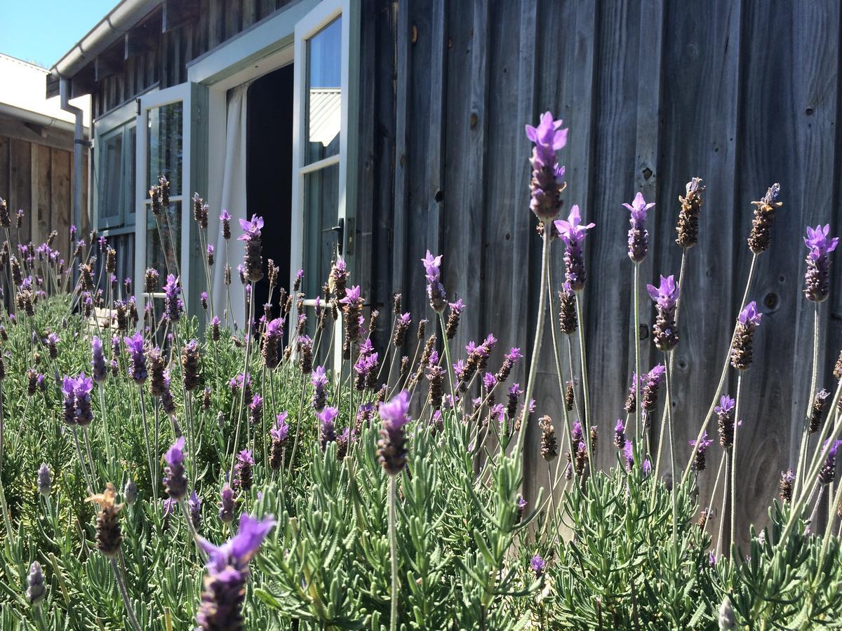 Mangawhai Chalets Eksteriør bilde